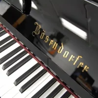 Gebruikte, Bosendorfer, 120