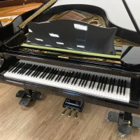 Gebruikte, C. Bechstein, Andere