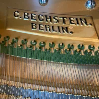 Usato, C. Bechstein, III 234