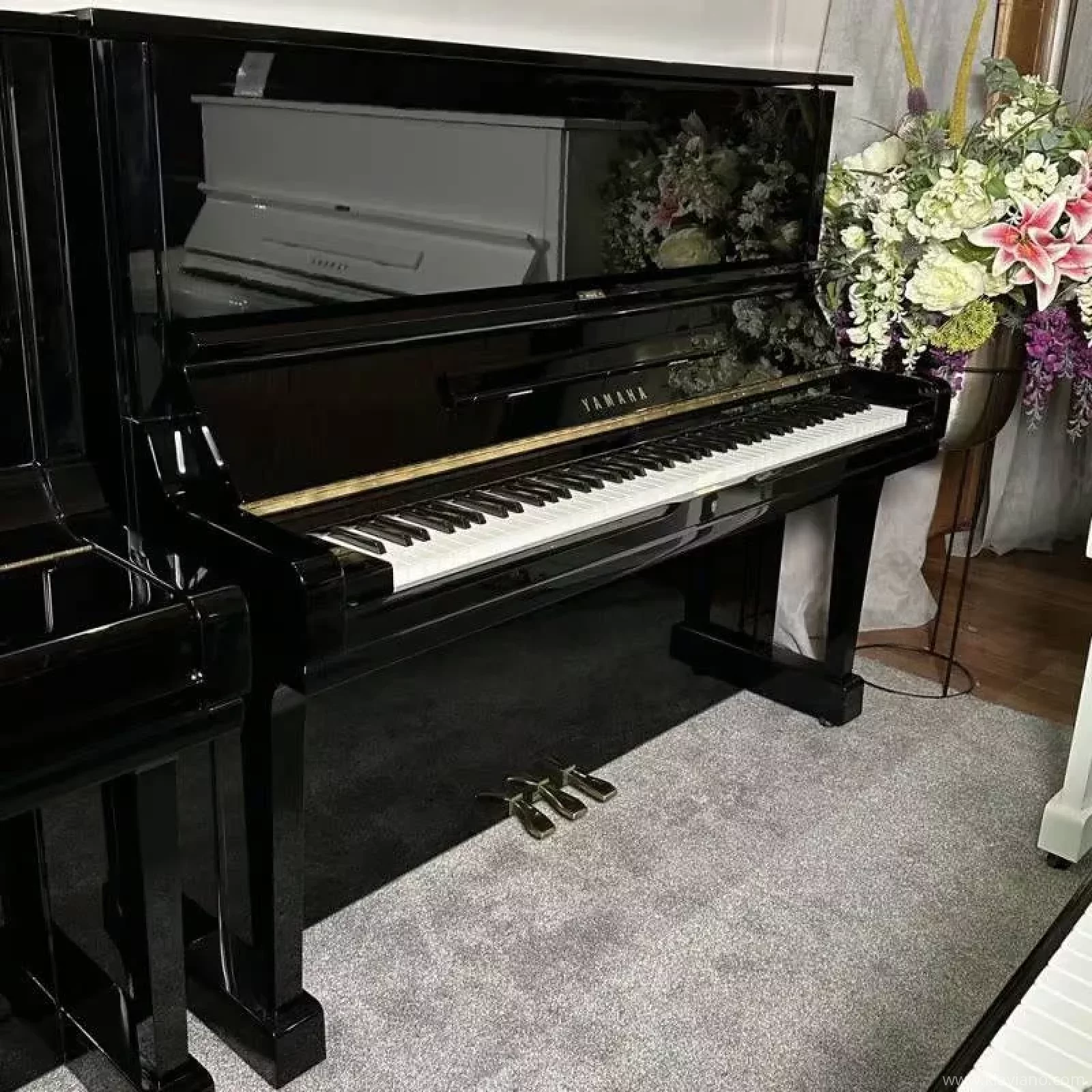 Occasion, Yamaha, U3