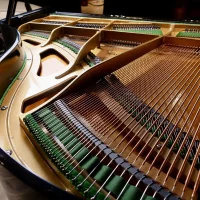 Usado, C. Bechstein, K 155