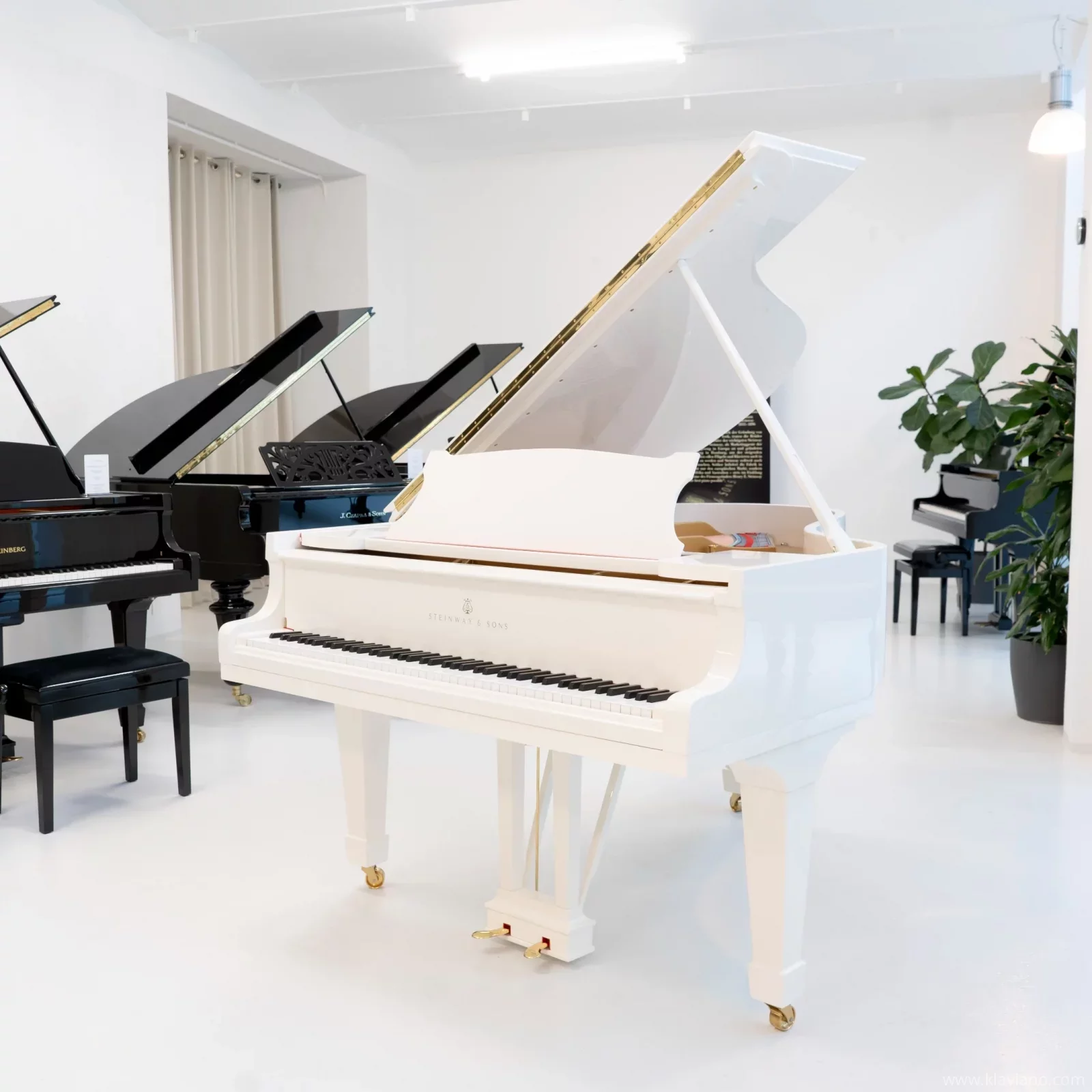 Używany, Steinway & Sons, O-180