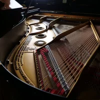 Usado, Steinway & Sons, A-188