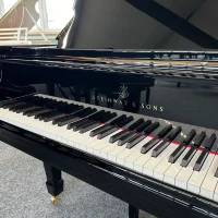 Steinway & Sons Flügel, Modell M-170