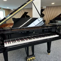 Occasion, Steinway & Sons, M-170