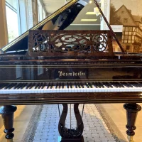 Usado, Bosendorfer, 200