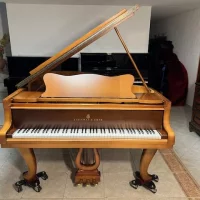 Används, Steinway & Sons, B-211