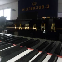 Used, Yamaha, C5