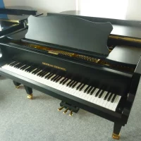 Used, Grotrian Steinweg, Chambre (165)