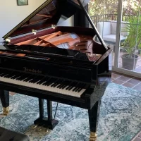 Usado, Bosendorfer, 214VC