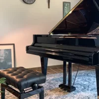 Usado, Bosendorfer, 214VC