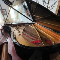 Usado, Steinway & Sons, B-211