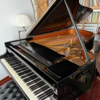 Används, Steinway & Sons, B-211