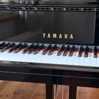 Usato, Yamaha, GB1 K