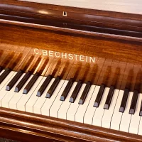 C. Bechstein Flügel L-167