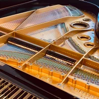 C. Bechstein Flügel B-203