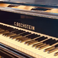 Occasion, C. Bechstein, B 203