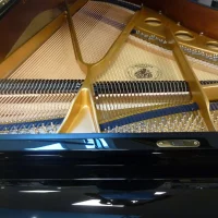 Używany, C. Bechstein, A 175 (B 175)