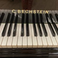 Används, C. Bechstein, B 203