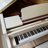 Gebruikte, Bosendorfer, 225