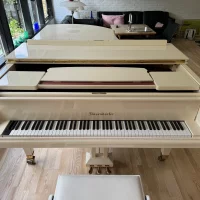 Gebruikte, Bosendorfer, 225