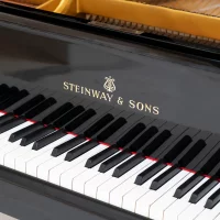 Används, Steinway & Sons, S-155