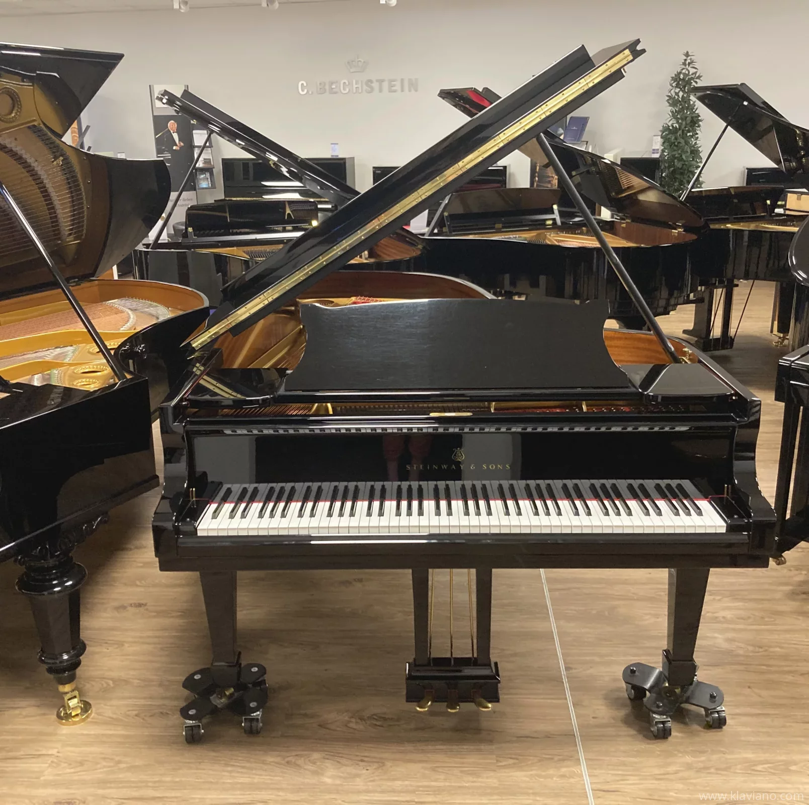 Används, Steinway & Sons, B-211