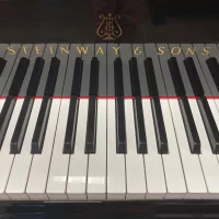 Usado, Steinway & Sons, B-211