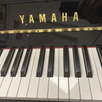 Gebruikte, Yamaha, b1 SG2