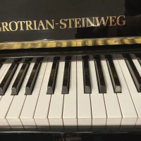 Usado, Grotrian Steinweg, Contour (114)