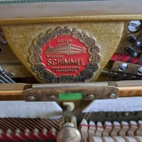 Gebraucht, Schimmel, 100