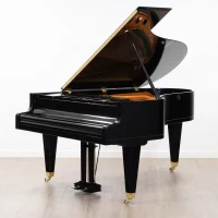 Gebruikte, Bosendorfer, 200