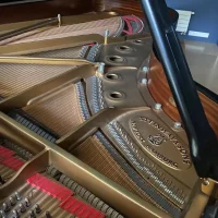 Used, Steinway & Sons, B-211