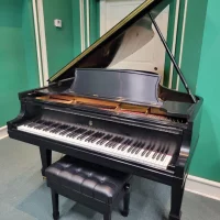 Usado, Steinway & Sons, B-211