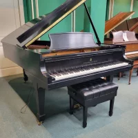 Usato, Steinway & Sons, B-211