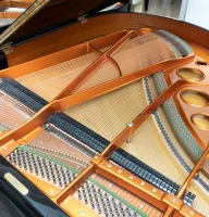 Bösendorfer 170