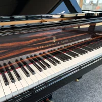 Usado, Steinway & Sons, B-211