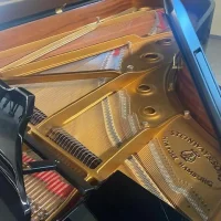 Usado, Steinway & Sons, C-227