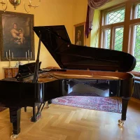 Occasion, Steinway & Sons, C-227