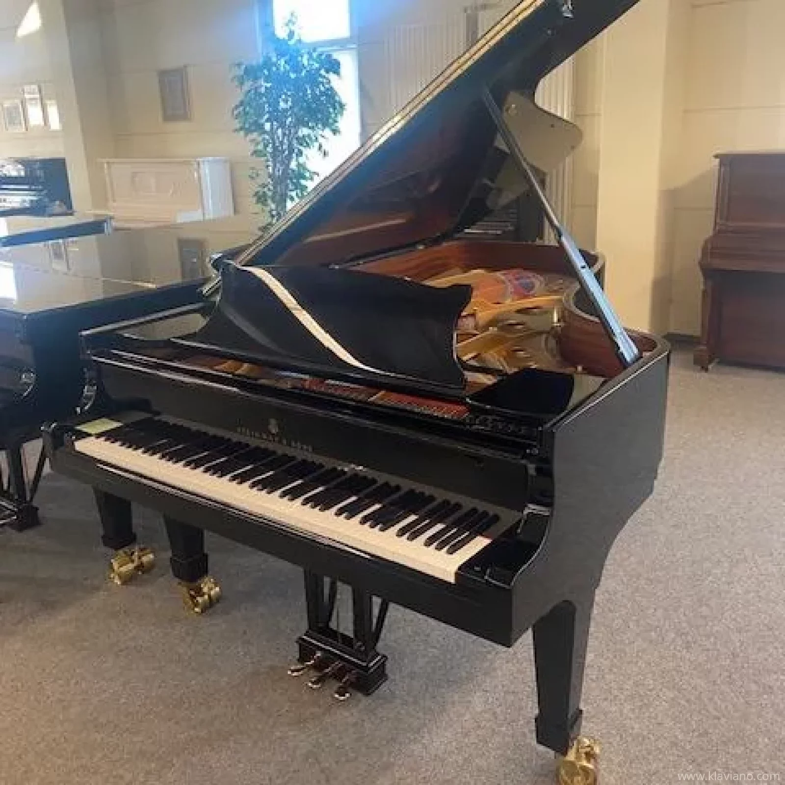 Usado, Steinway & Sons, C-227