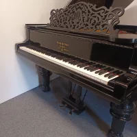 Usado, Steinway & Sons, B-211