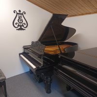 Används, Steinway & Sons, B-211