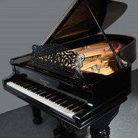 Usado, Steinway & Sons, B-211