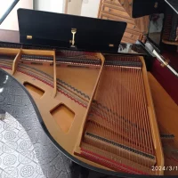 Usado, Grotrian Steinweg, 160