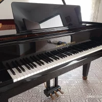 Usado, Grotrian Steinweg, 160