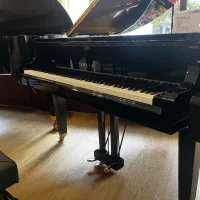 Gebraucht, Yamaha, GA1