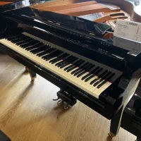 Gebraucht, Yamaha, GA1