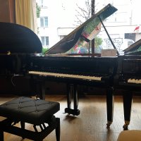 Gebraucht, Yamaha, GA1