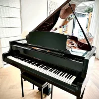 Används, Bösendorfer, 170