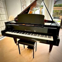 Used, Bosendorfer, 170